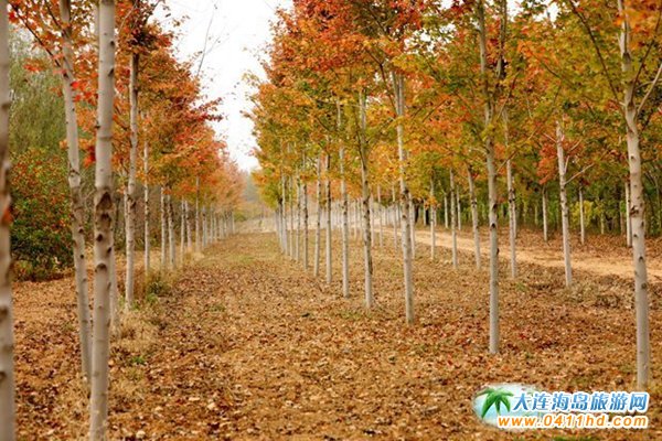 ���B���~��