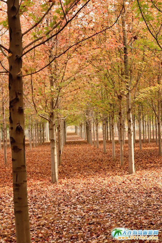 ���B���~��