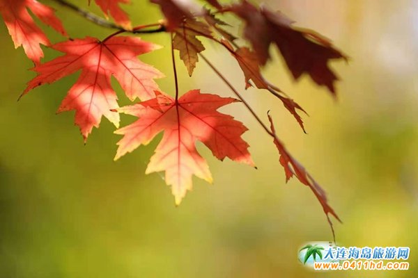 ���B���~��