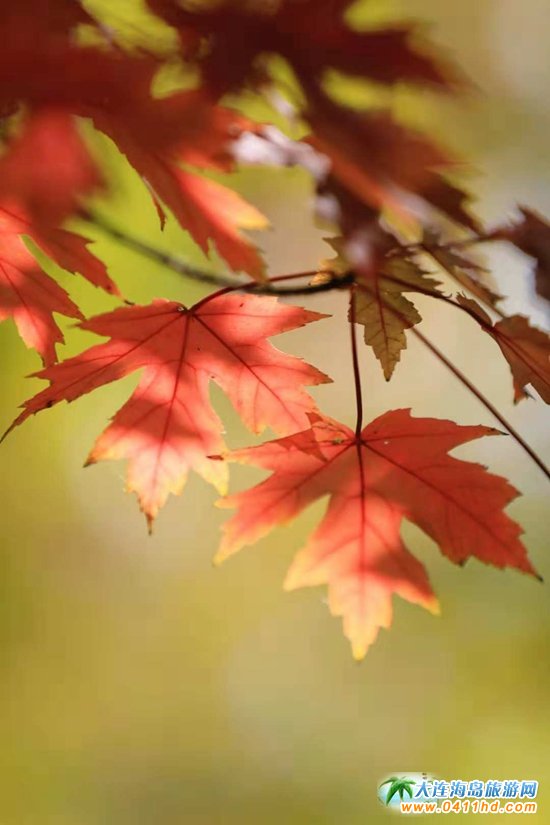 ���B���~��