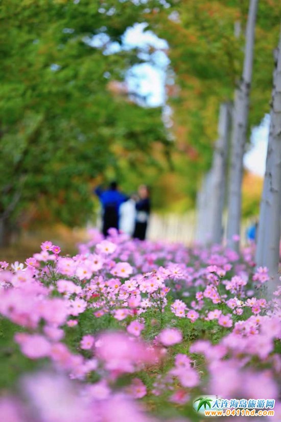 ���B���~��