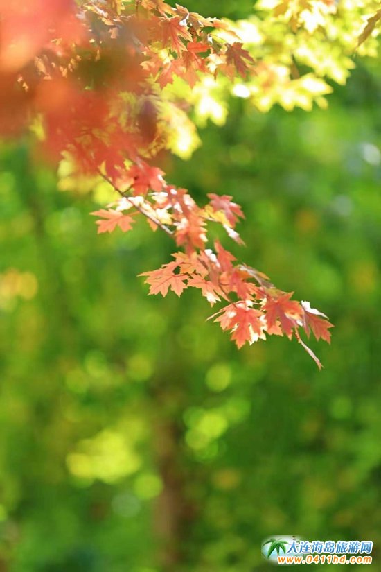 ���B���~��