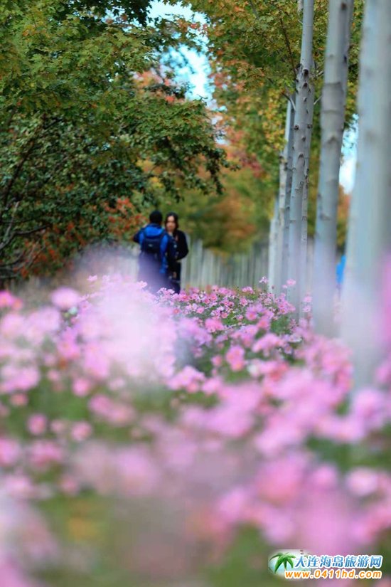 ���B���~��