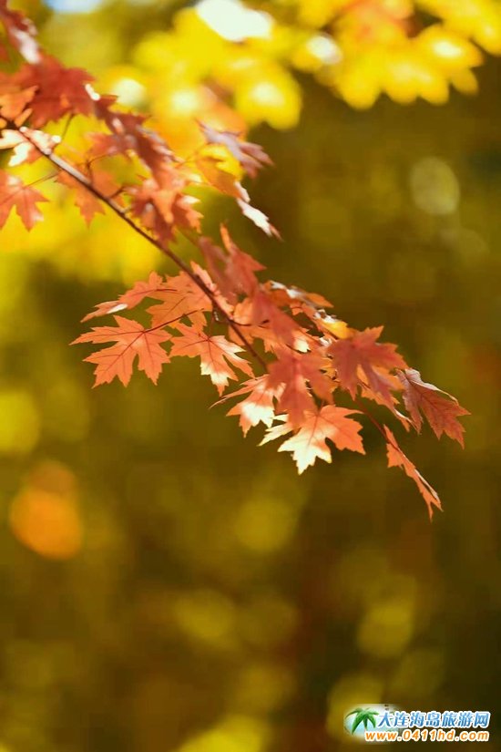 ���B���~��