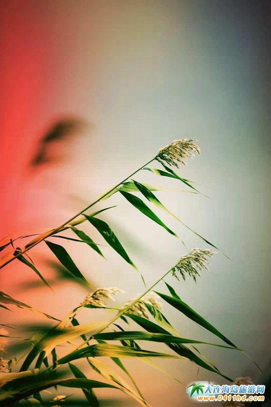 ���B���~��