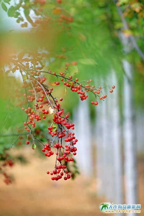 ���B���~��