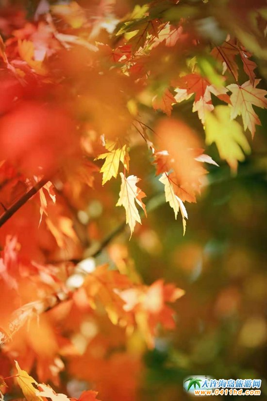 ���B���~��