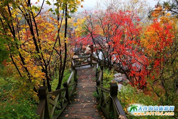 ��Ϫ������