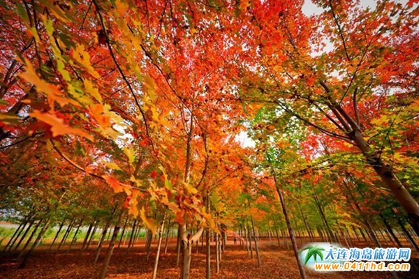 ���B���T(m��n)ɽ����