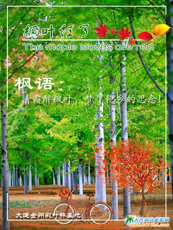 ���B������ʮ�ﱤ���~�ֻ���