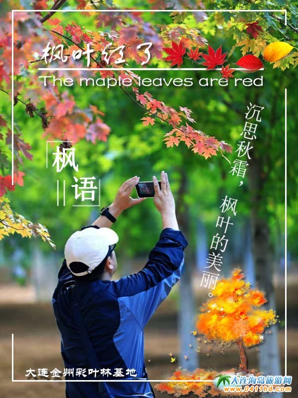 ���B������ʮ�ﱤ���~�ֻ���