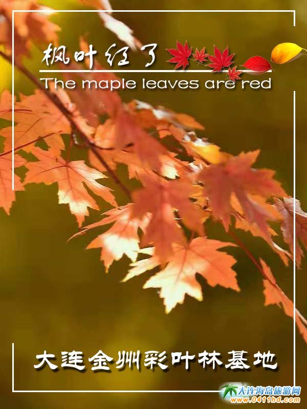 ���B������ʮ�ﱤ���~�ֻ���