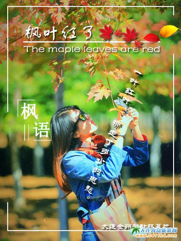 ���B������ʮ�ﱤ���~�ֻ���