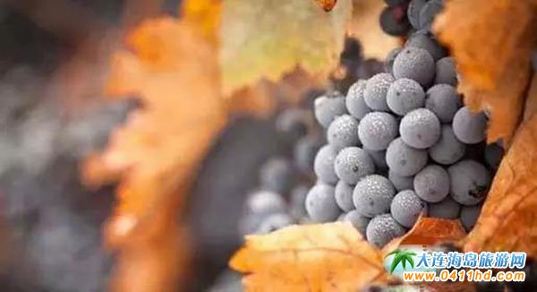 ��ʯ�����Ѿ�С�(zh��n)