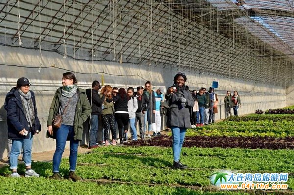  �f������