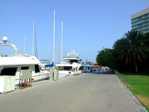 019�ϰ݇�(gu��)�H��ͧչ