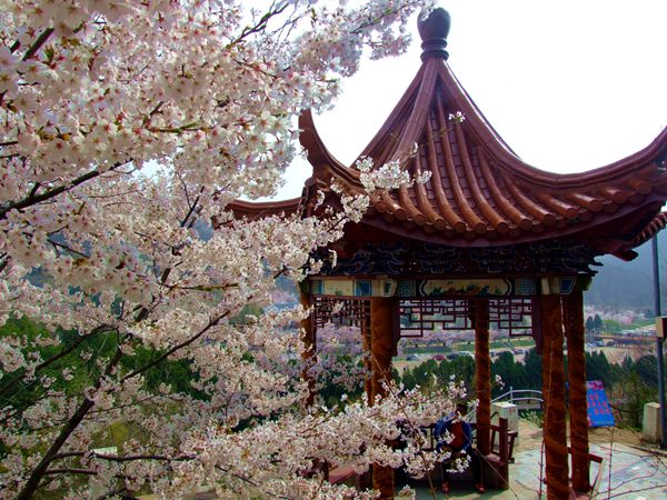 2019����혙ѻ���(ji��)