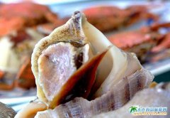 ���ɍuӰˇ�O��΢��