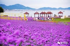 ��������ȥ������߀�ǎ�������ȥ������߀�Ǻ�����ȥ������