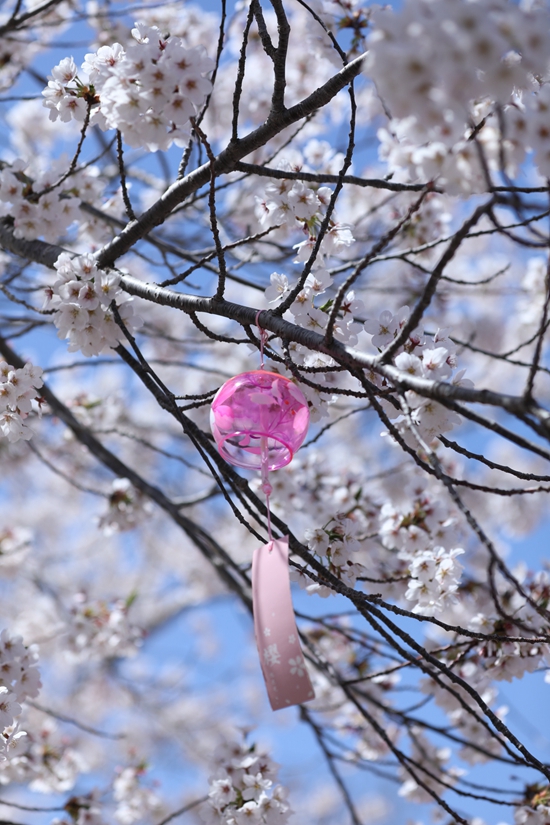 ���B�������ѻ��@