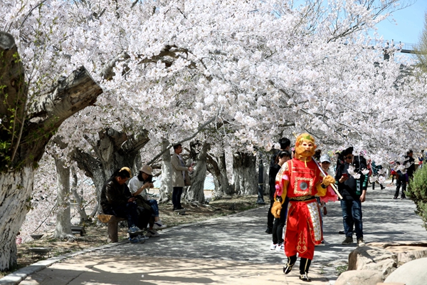 ���B�������ѻ��@