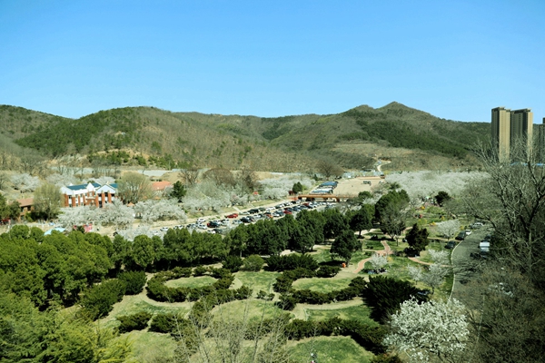 ���B�������ѻ��@