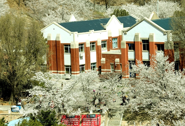 ���B�������ѻ��@