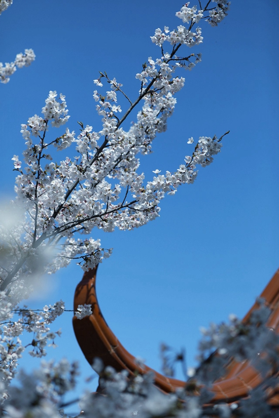 ���B�������ѻ��@