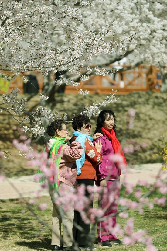 ���B�������ѻ��@