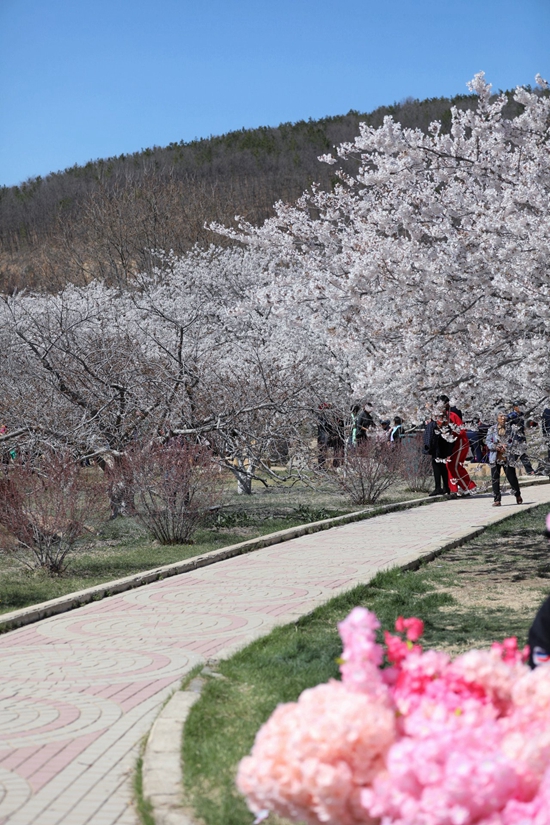 ���B�������ѻ��@