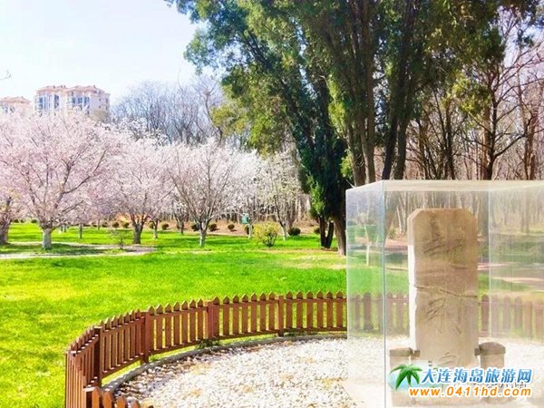 ��혺����@