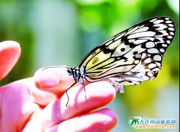 ��혺����@