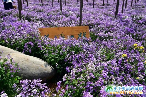 ���B��ʯ������