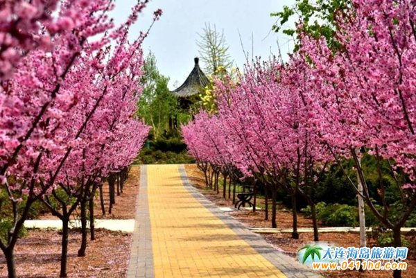 ���B��ʯ������