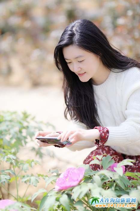 ��һ���B����