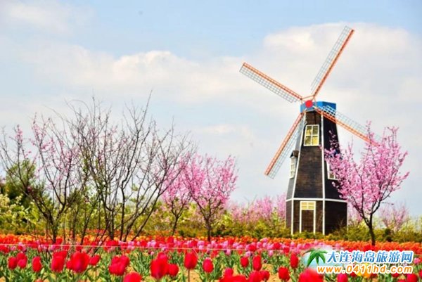 ���B��ʯ������