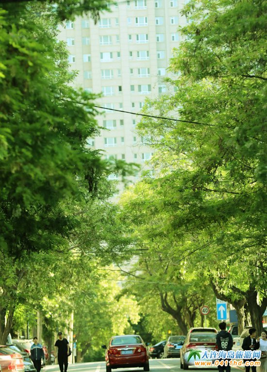 2019���B�p����(hu��)