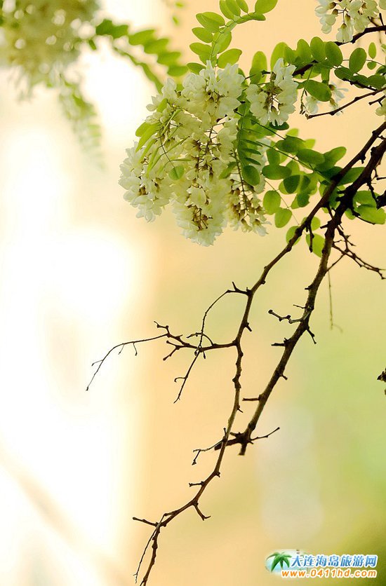 2019���B�p����(hu��)