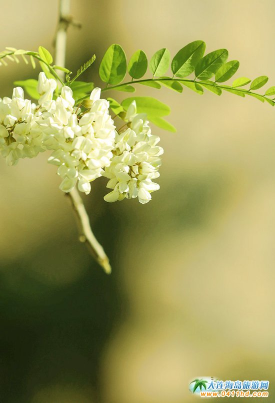 2019���B�p����(hu��)