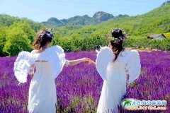 �����^(q��)����С�L��������ӭ�߷���3��{��42.6�f�˴�