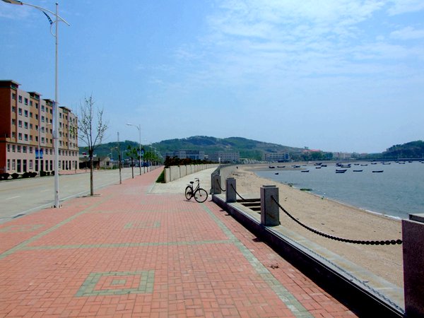 �V¹�u����