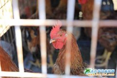 ȥʯ�Ǎu��֮퍝O��Ʒ�ص��r(n��ng)����