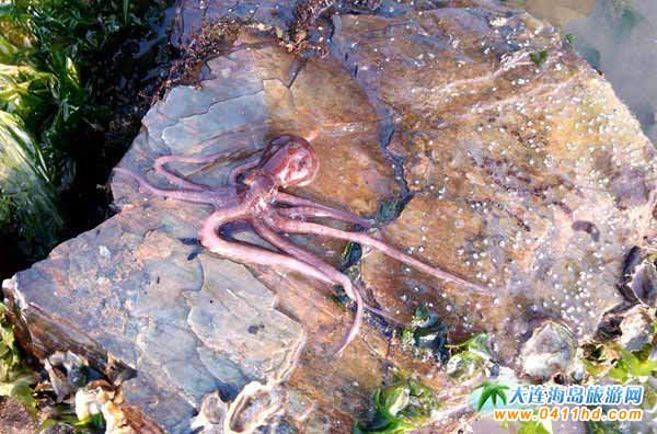 ���B�s�����]