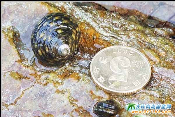 ���B�s�����]