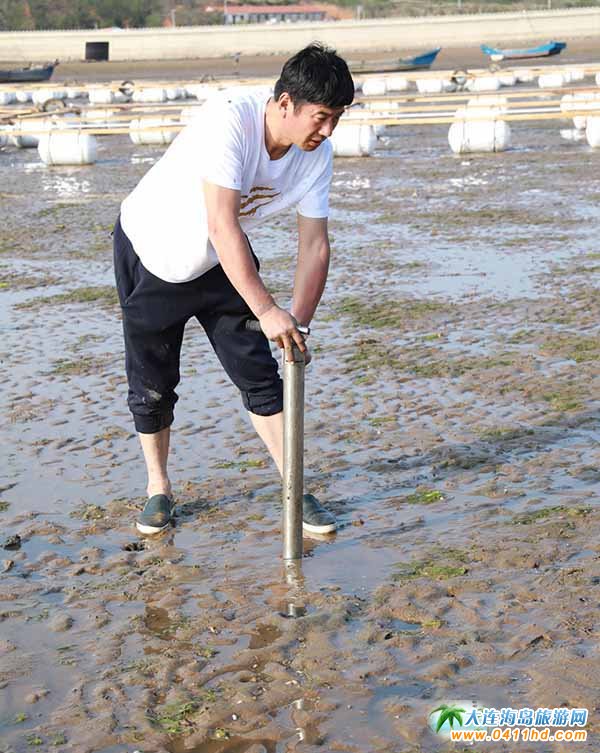 ���B�s�����]