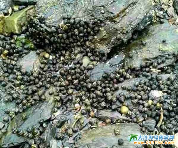 ���B�s�����]