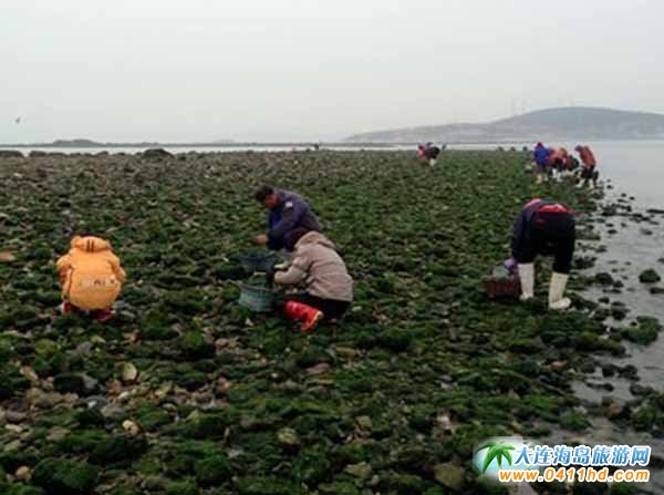 ���B�s�����]