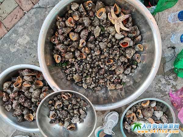 ʮһ���u����