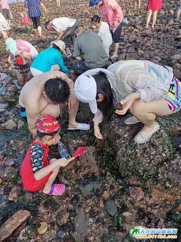 ʮһ���u����