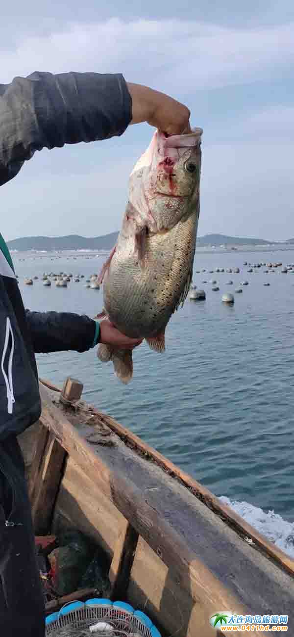 ʮһ���u����